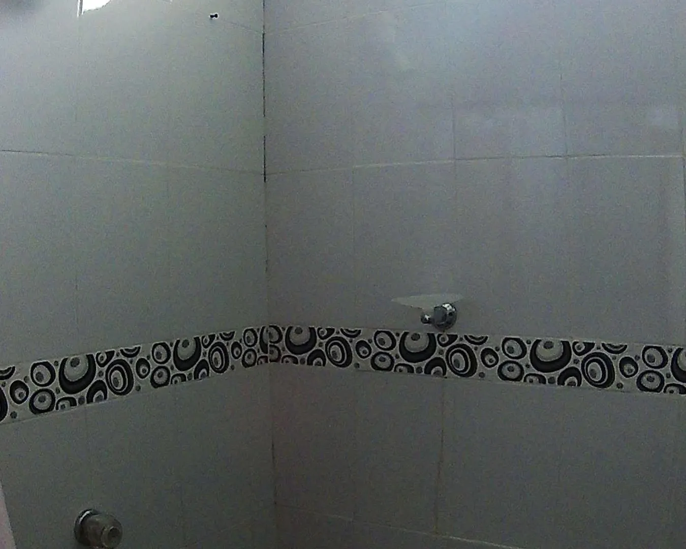 Apartamentos Rocky Cay Bay San Andres  San Andres (San Andres and Providencia Islands)